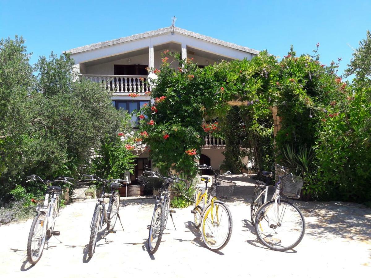 Apartments Marinka Biograd Na Moru Buitenkant foto
