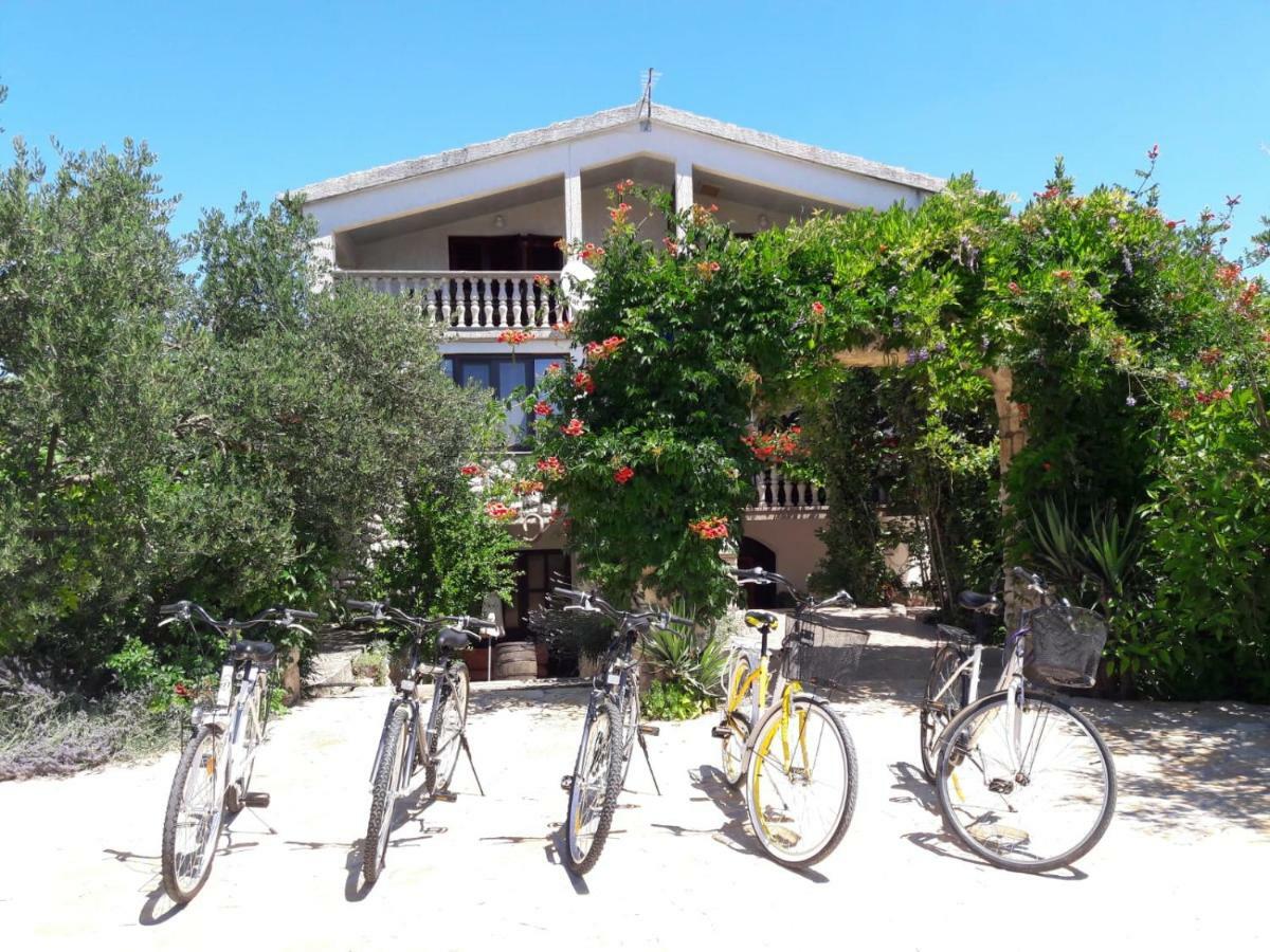 Apartments Marinka Biograd Na Moru Buitenkant foto